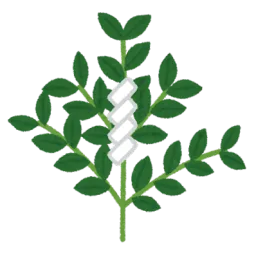 Shinto server icon, exploring Japanese culture and the Way of the Kami