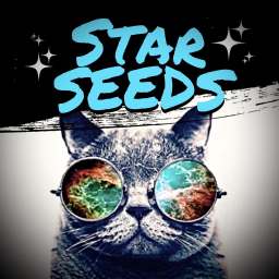 Starseeds server icon, a community for those identifying as starseeds to connect and share galactic experiences
